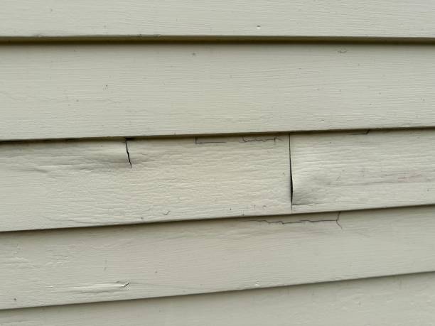 Best Siding Removal and Disposal  in Acton, CA